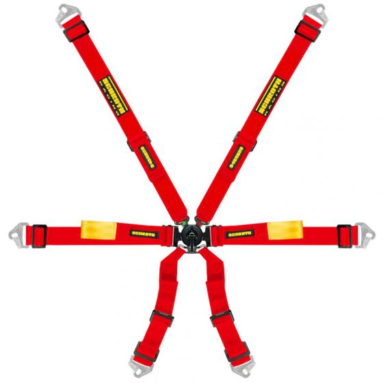 Schroth 6 Point Harness - Image 4